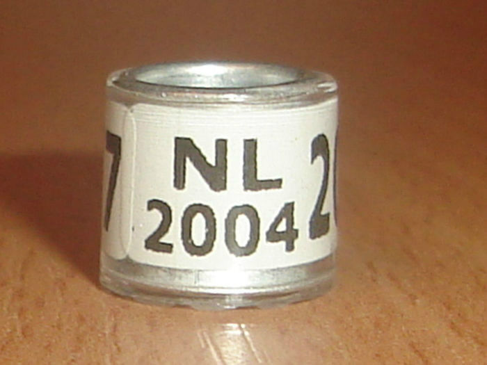 NL 2004
