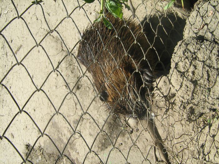 Picture 025 - 1 CONTACT