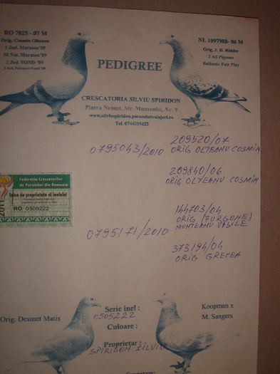 0505222-11 Spiridin Silviu