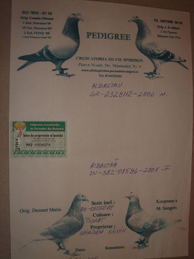 0505078-11 Spiridon Silviu