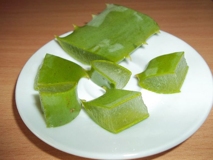 Aloe Vera-bucati de frunze mature 1