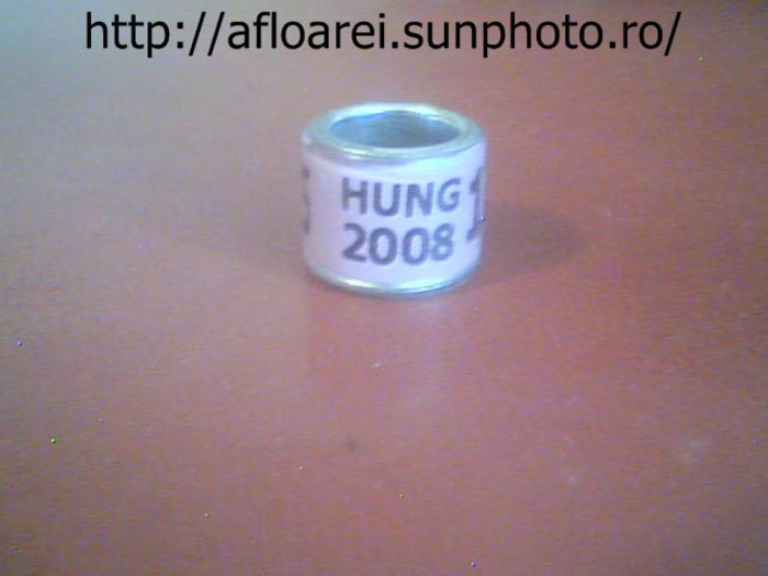 hung 2008 - UNGARIA-HUNG