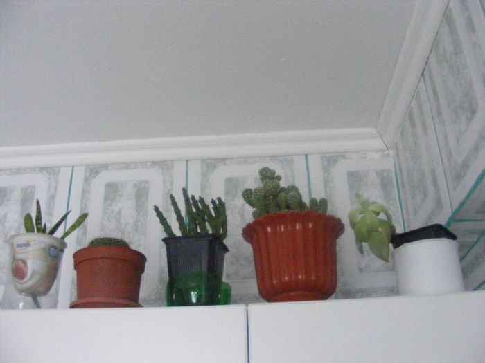 stam de vorba ca fetele