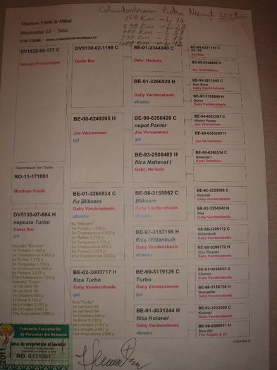 0171001-11 M Columbodrom Piatra Neamtz Munteanu Vasile