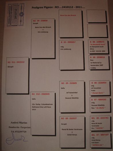 2410112-11 M Andrei Marius