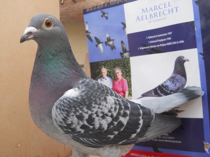 F-12-Ro; via Lucian Mermezan
