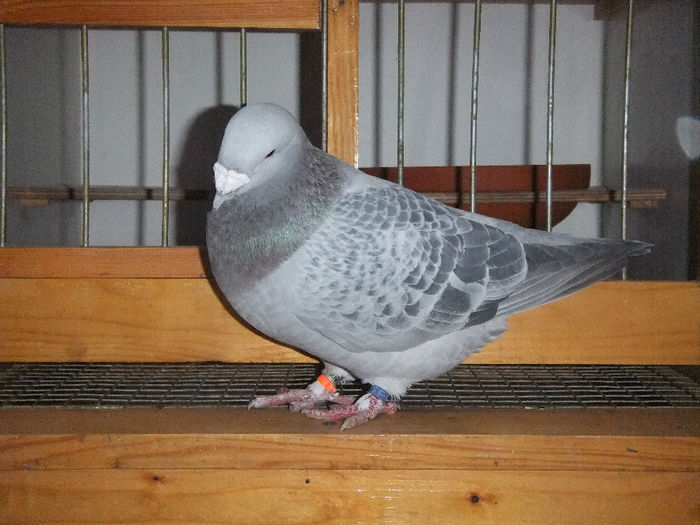 DSCF6373