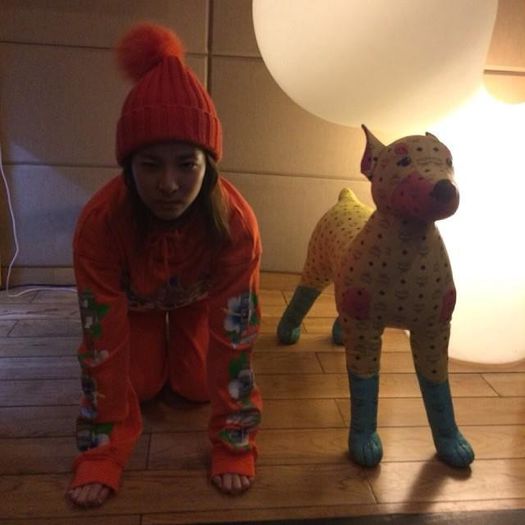 dara crazy dog