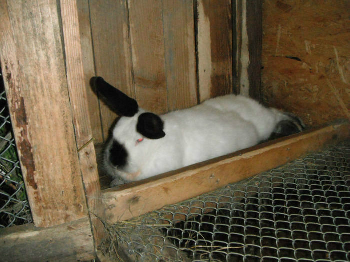 93769041_TNXUMFV3[1]