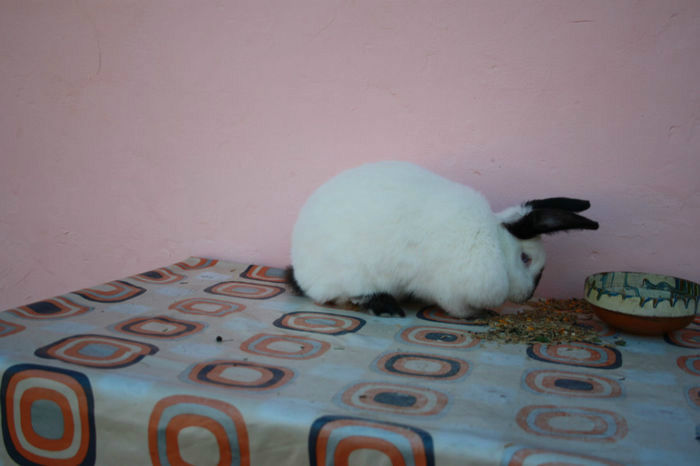 93766525_TVYQBZY3[1]