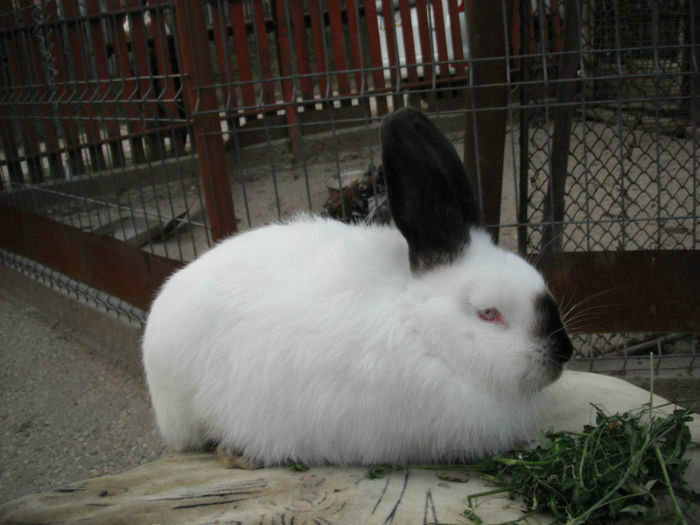 93769502_YCZVOLO3[1]