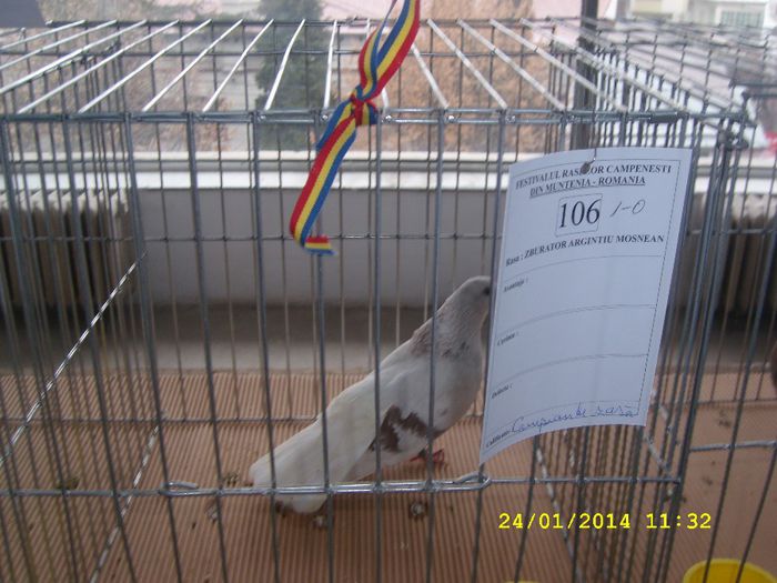 SL278051 - expo pitesti 2014