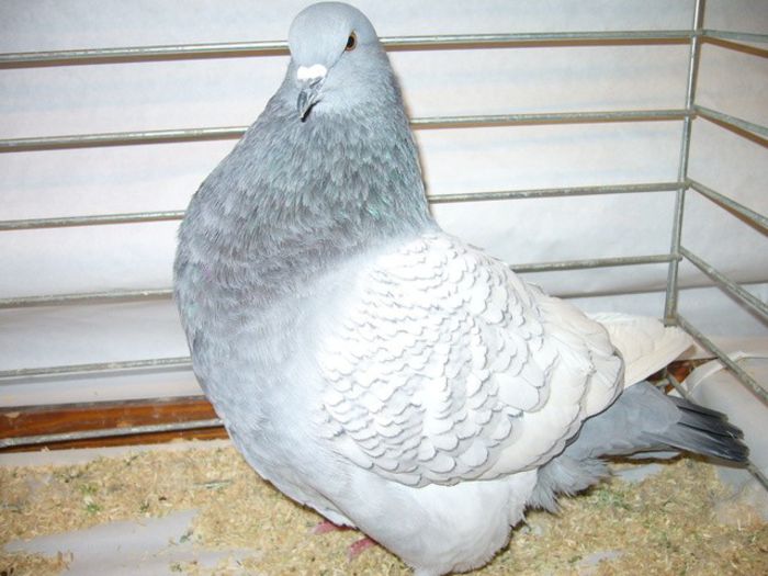 341