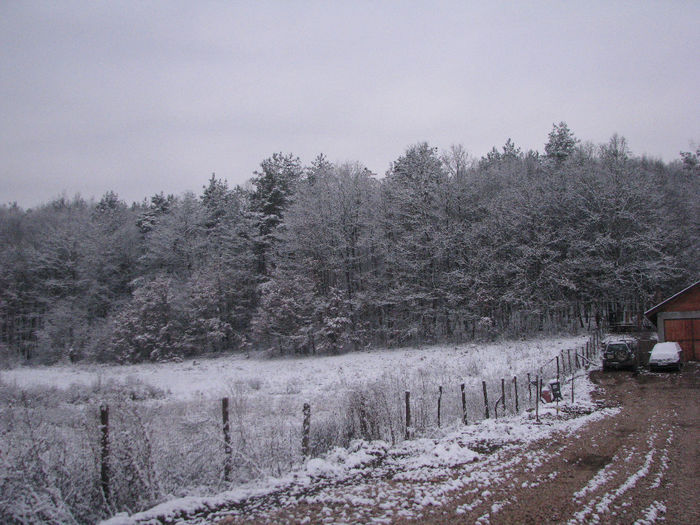 IMG_4612 - Casuta mea iarna