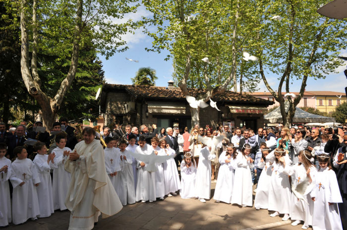 AA1_9952 - lansari porumbei albi-lancio colombi bianchi