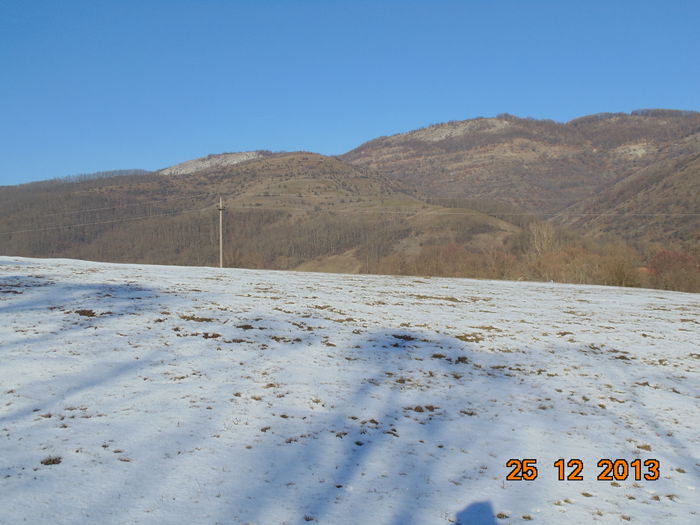 DSC00078