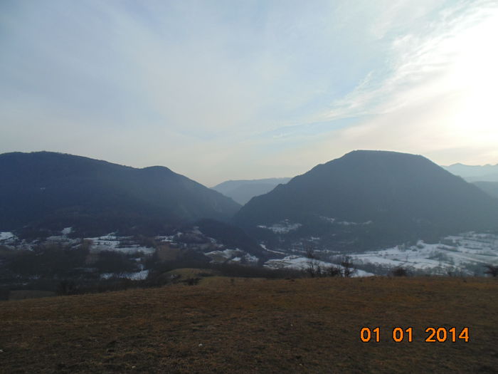 DSC00342