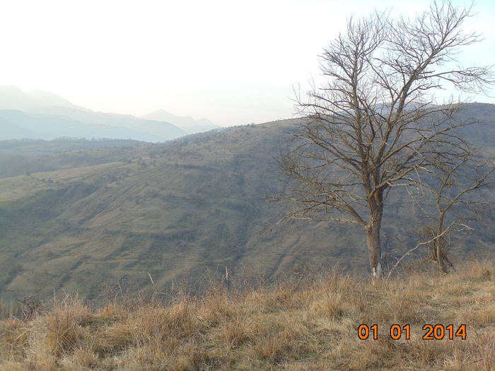 DSC00344
