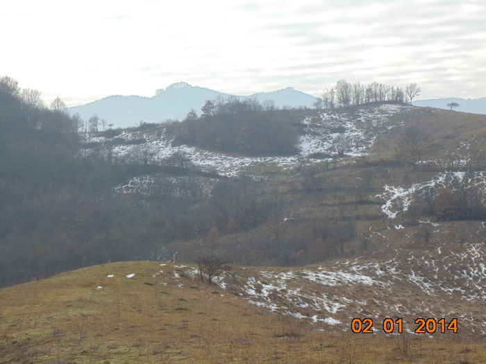 DSC00451