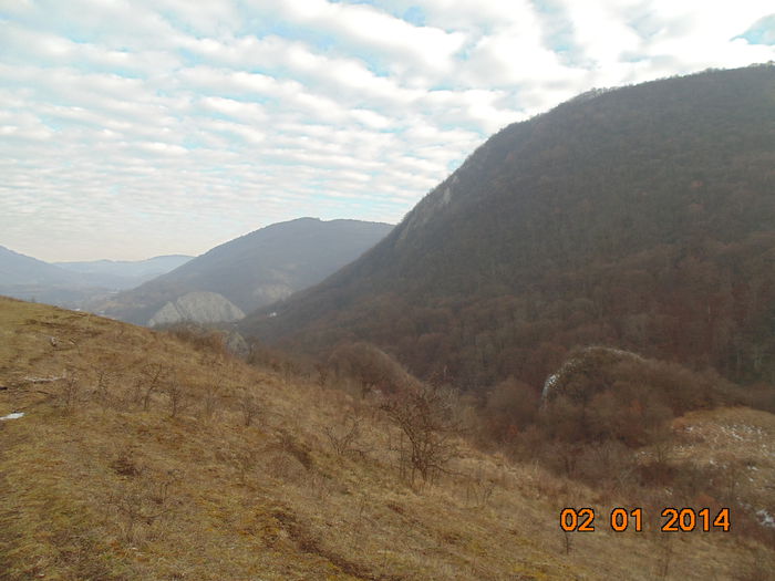 DSC00460