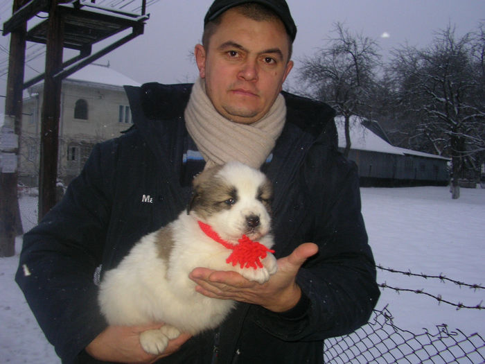 SANY1481 - animale frumoase