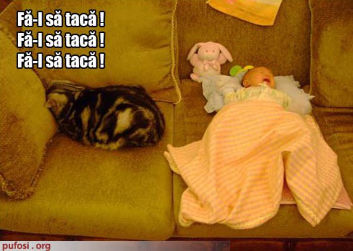 poze-amuzante-bebelusul-plange-langa-pisica - poze cu bebelusi de ras