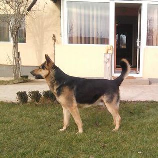 IMG_20140118_131704-1