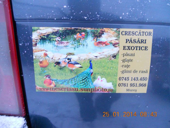 DSCN5219 - CONTACT