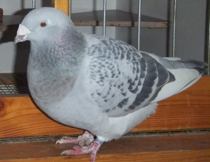 DSCF6417