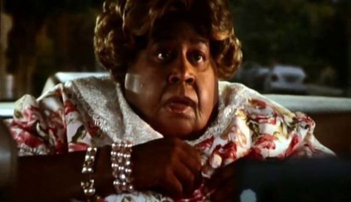 Acasa La Coana Mare 2