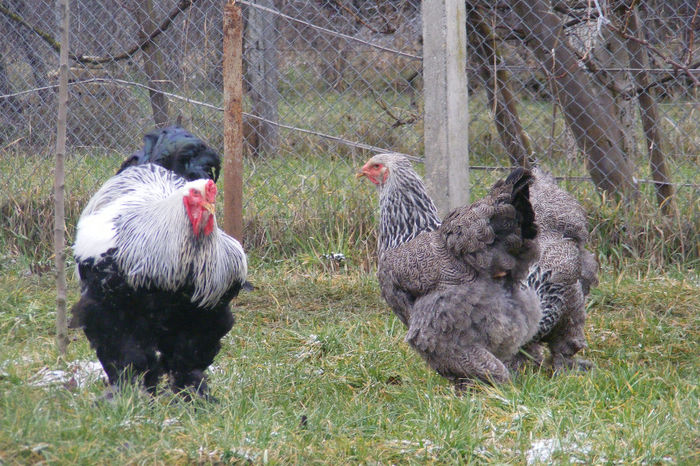 HERMINAT INCHIS 2014 FAM 2 (2)