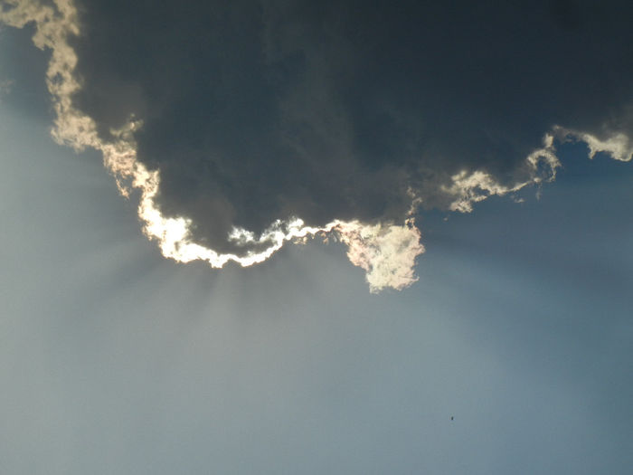 Clouds. Nori (2013, July 27)