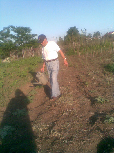 Udam harbuji,care erau mici,in 2010