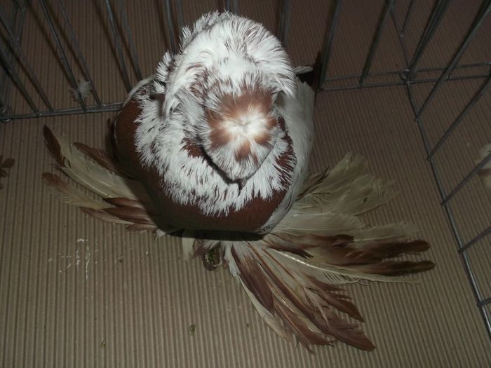 Picture 2386