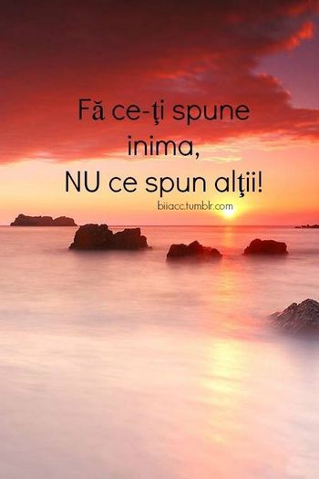 1013714_203359329857730_1030271616_n - Poze