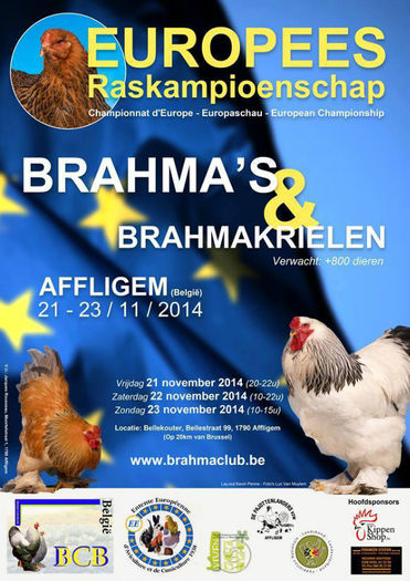 Expo europeana de Brahma - Nou grupul Brahma Romania si pe facebook