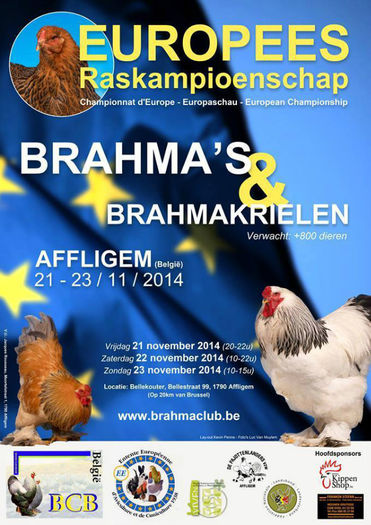 Expo europeana de Brahma