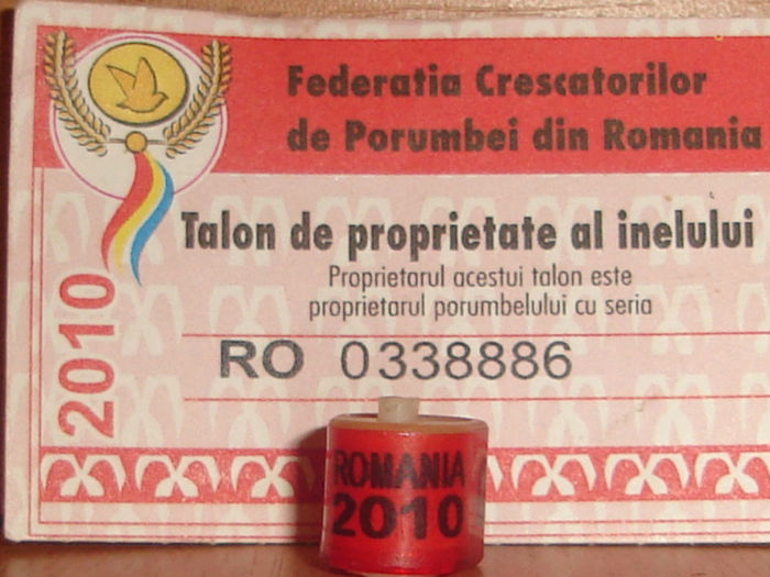 R0MANIA 2010 fara talon - 1 1 ROMANIA