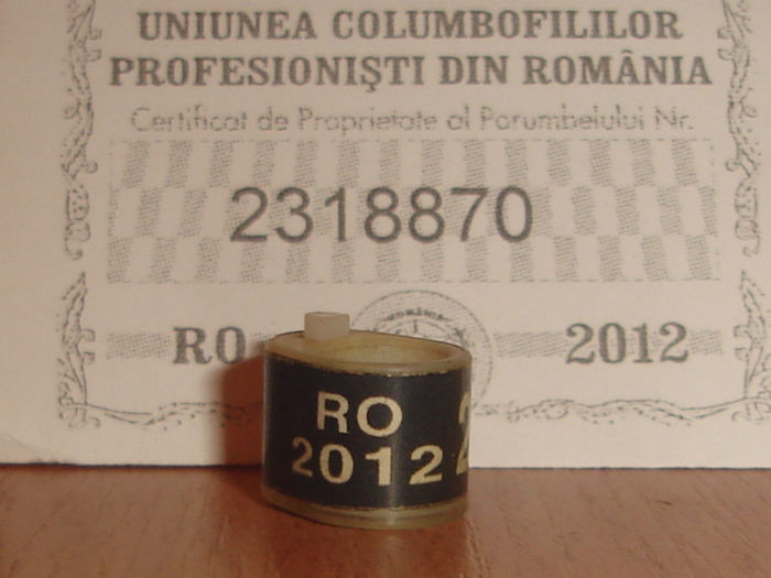 R0MANIA 20012 fara talon (2) - 1 1 ROMANIA