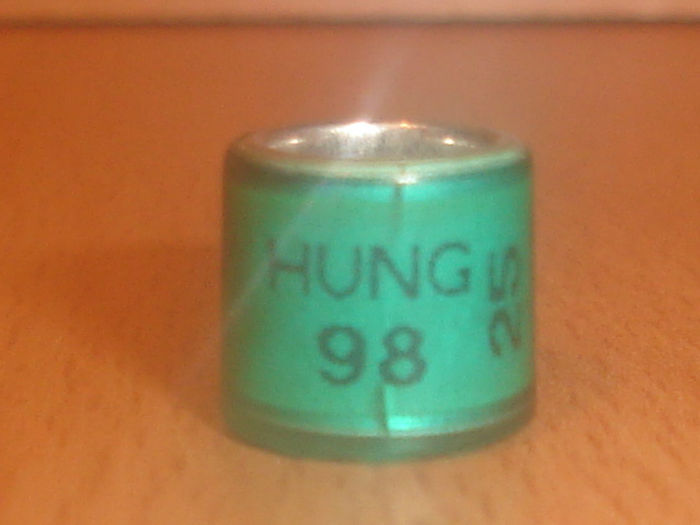 Hung 1998