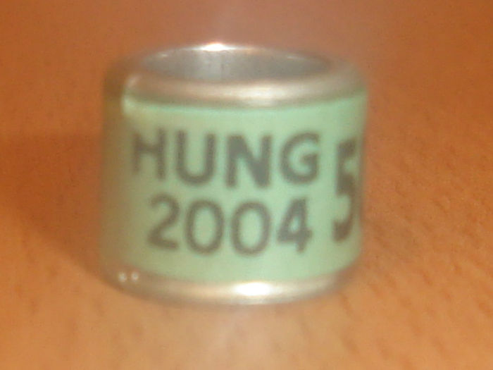 Hung 2004