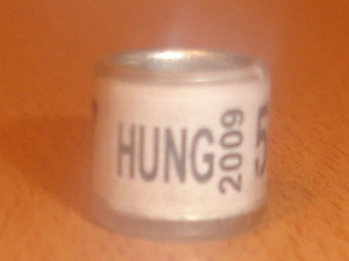Hung 2009