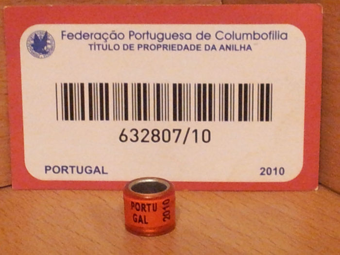 PORTUGALIA 2010 fara talon
