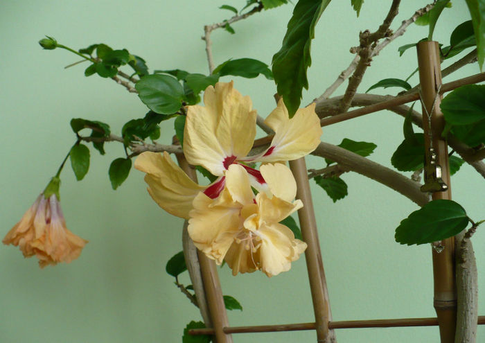 P1490690