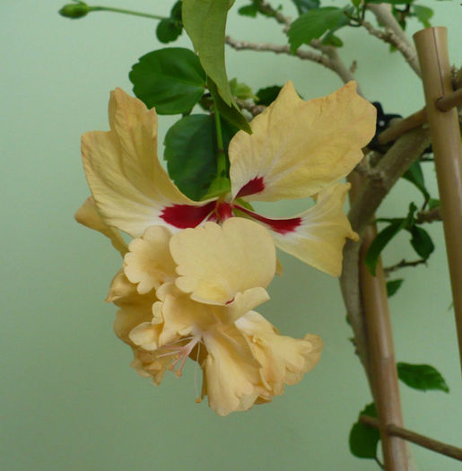P1490695