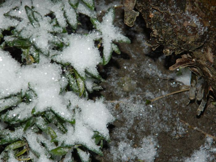 DSCN1229 - ZAPADA 2014