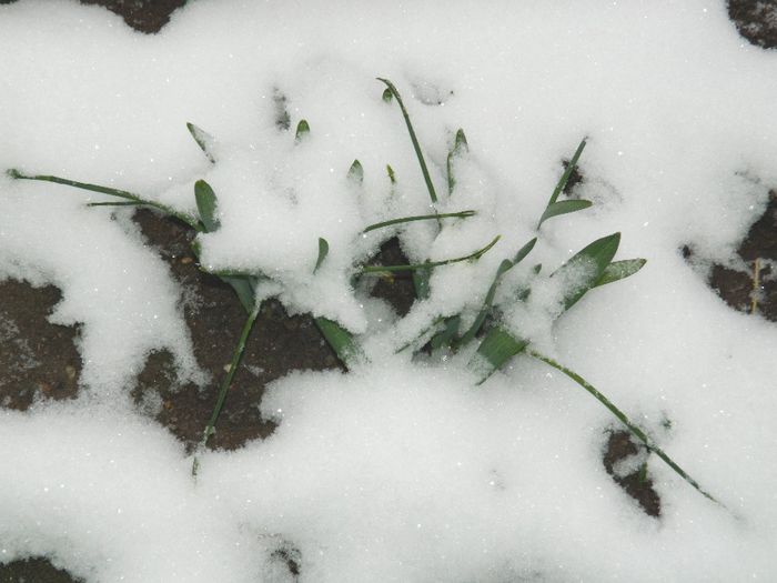 DSCN1233 - ZAPADA 2014