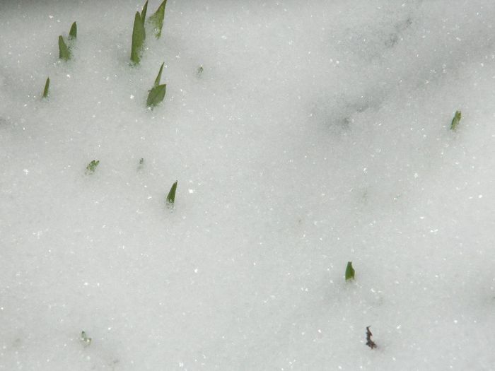 DSCN1235 - ZAPADA 2014