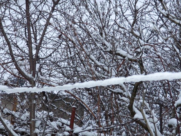 DSCN1247 - ZAPADA 2014