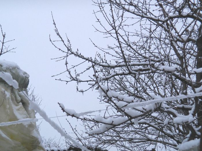 DSCN1248 - ZAPADA 2014